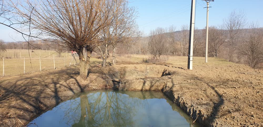 Același iaz, cu malul modelat în pantă.